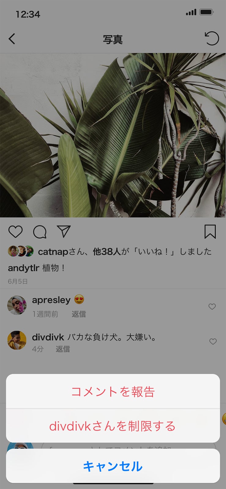 Instagram、いじめ行為を防ぐ２つの機能を新しく導入（提供写真）