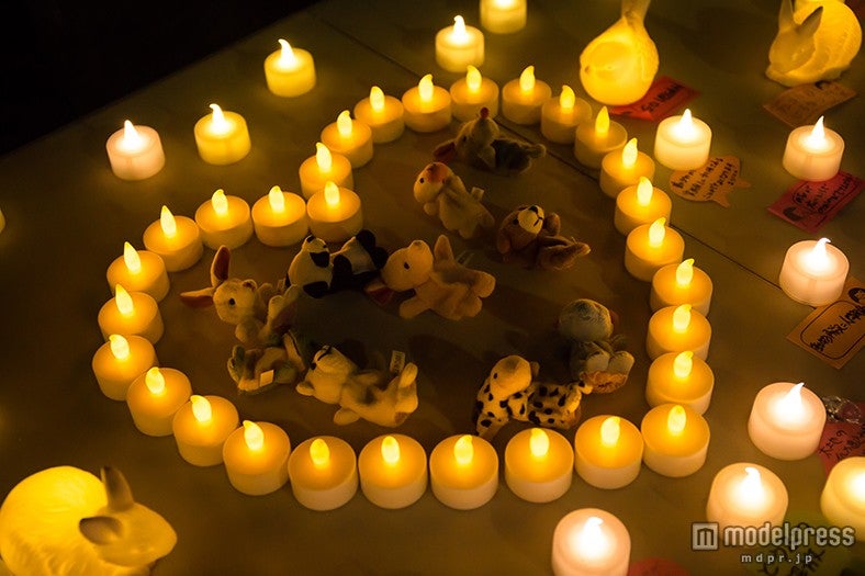 10月17日（土）の夜には「ベジフェス・ナイト」も開催／画像提供：東京ベジフードフェスタ2015実行委員会
