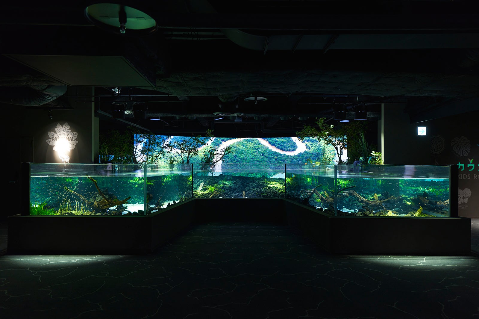 パンタナルエリア／画像提供：アクア・ライブ・インベストメント