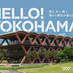 横浜ティンバーワーフ(提供写真)