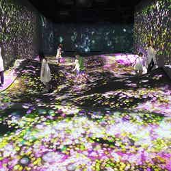 ふわふわな地形のつぶつぶの地層 - A Whole Year per Year/画像提供:チームラボ