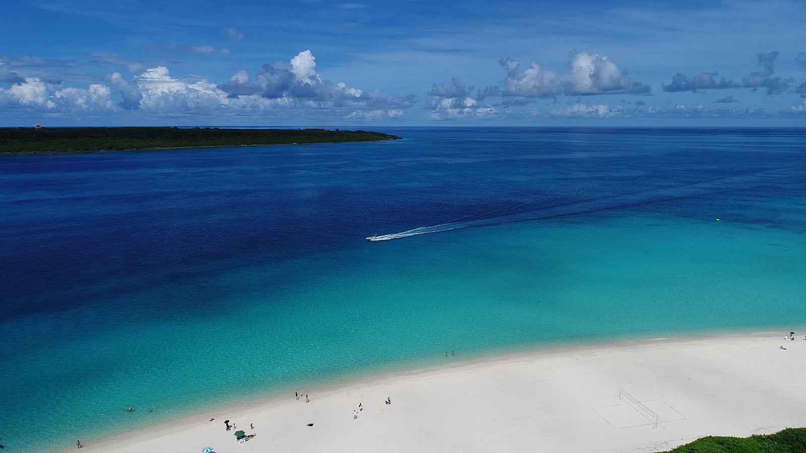 「恋神アプリ」より（提供写真）
