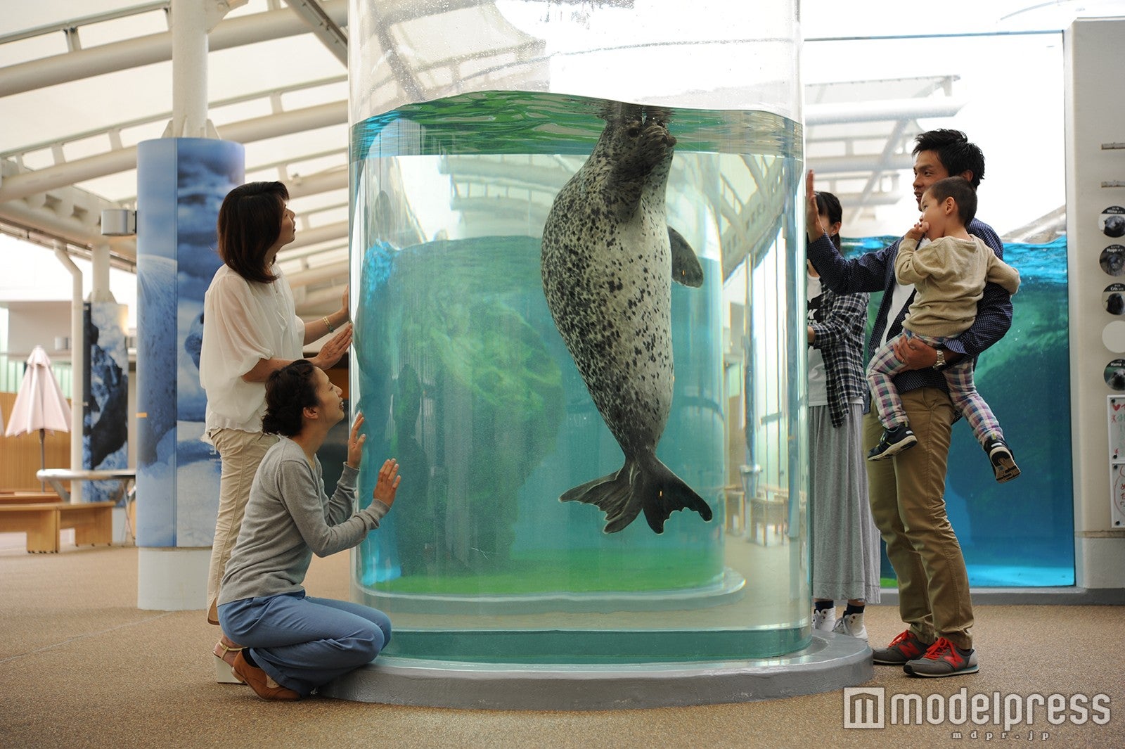 チューブ状の水槽／画像提供：京都水族館