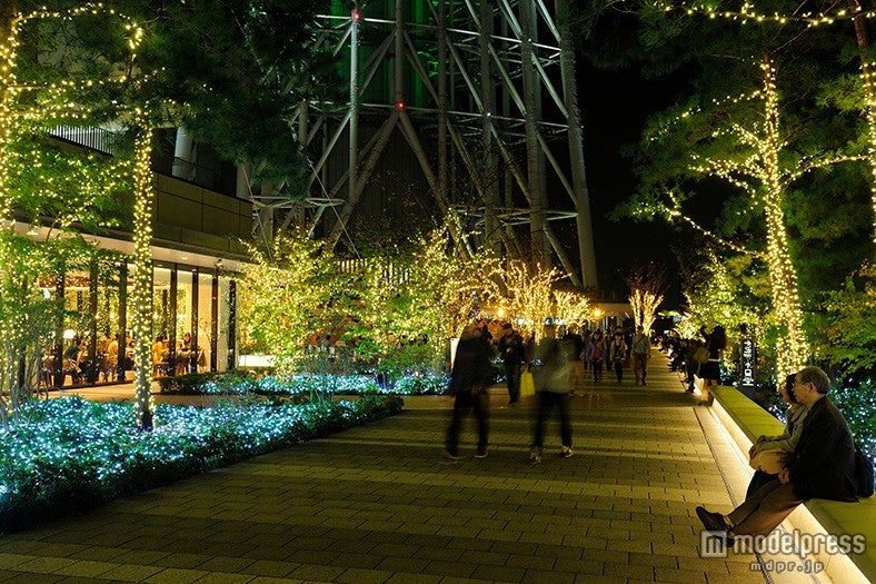スカイアリーナのイルミネーション（昨年の様子）（C）TOKYO-SKYTREETOWN