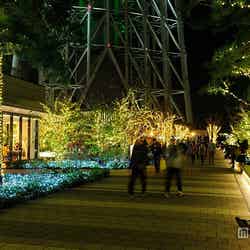 スカイアリーナのイルミネーション(昨年の様子)(C)TOKYO-SKYTREETOWN