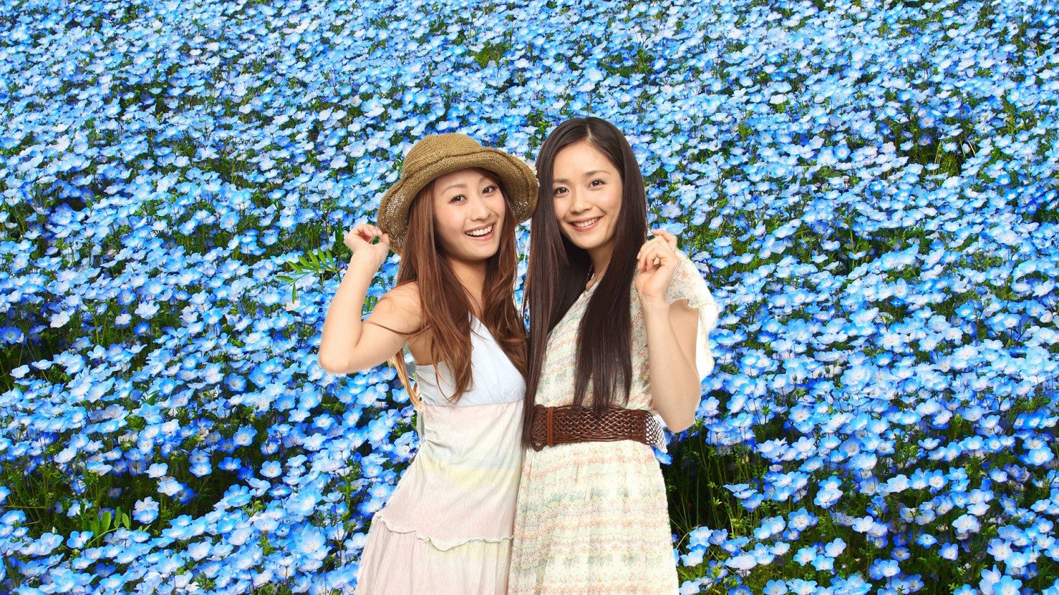 ネモフィラ祭り／画像提供：ピーエスジェイコーポレーション