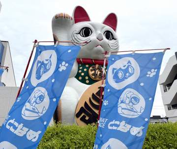 【ボート】とこなめボートのレースは見どころたっぷり