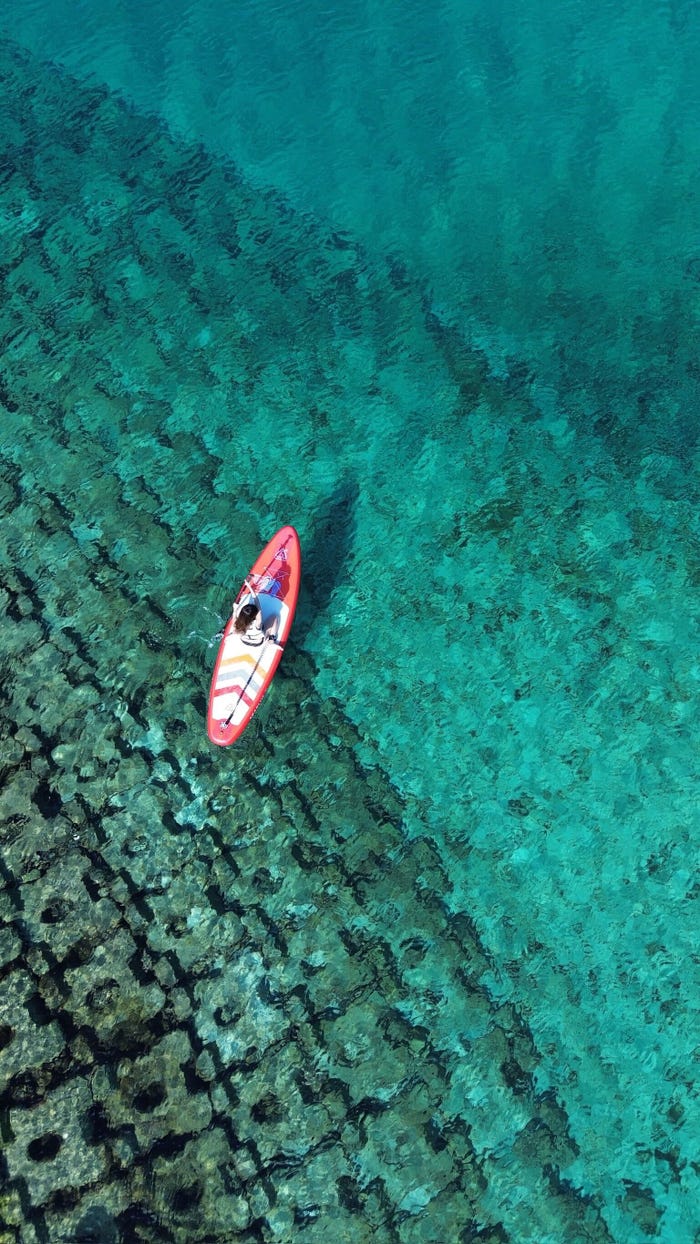 みお(提供写真)