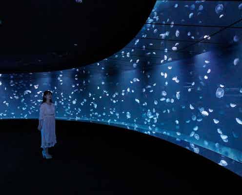 サンシャイン水族館に新クラゲエリア「海月空感」6つの水槽が非日常空間を演出