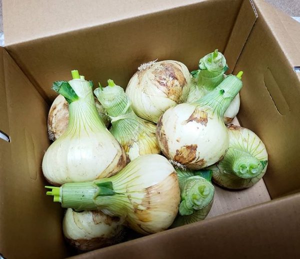 おでんの変わり種レシピ18選 野菜 お肉まで意外に合う美味しい食材とは モデルプレス おでんの変わり種レシピ18選 野菜 お肉まで意外に合う美味しい食材とは モデルプレス