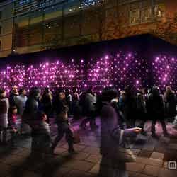 幾千もの光の玉が幻想的な空間を演出「ロマンの道」（C）東京ミチテラス2014