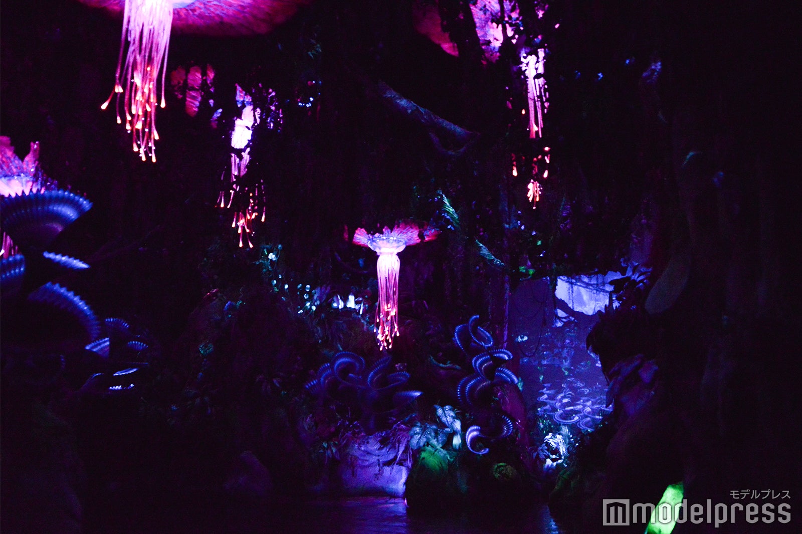 「ナヴィ・リバー・ジャーニー」（C）モデルプレス（C）Fox（C）Disney