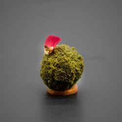 苔玉をイメージした「抹茶とラズベリーのムース」／画像提供：フォーシーズンズホテル京都