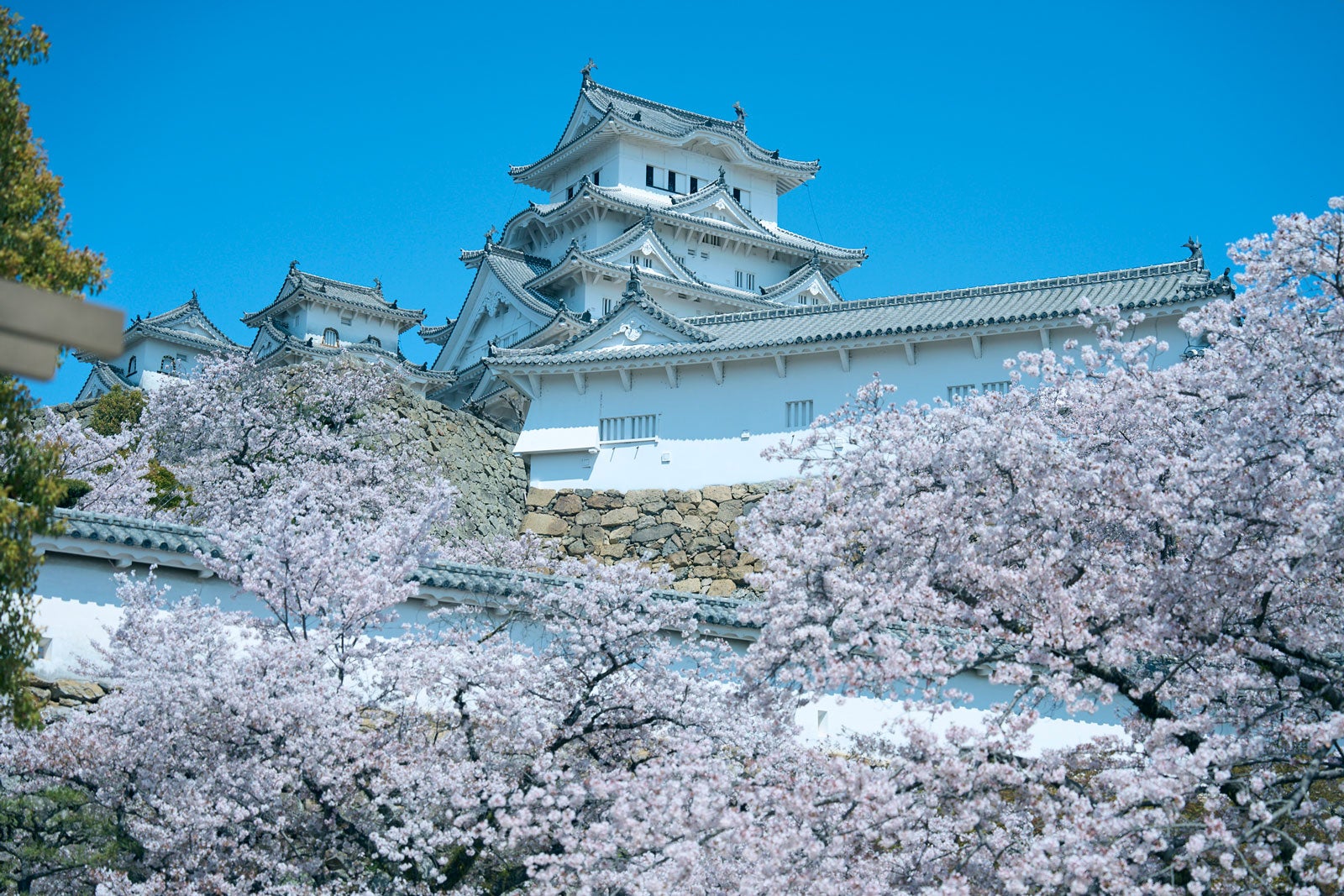 姫路城（提供写真）