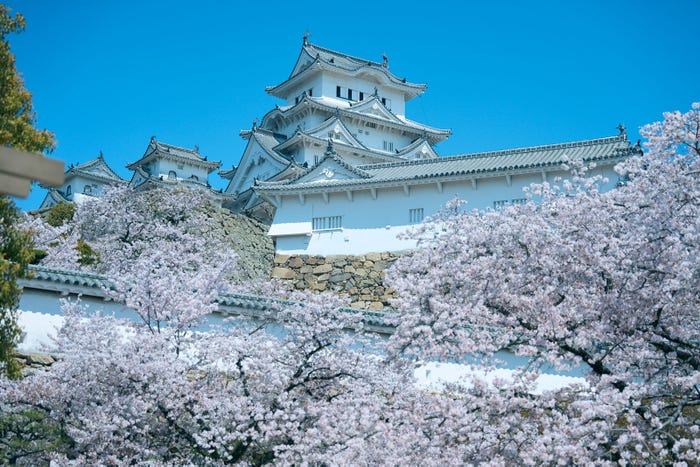 姫路城(提供写真)