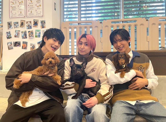 佐野勇斗、佐久間大介、目黒蓮『わんにゃん観察バラエティ アニマリング』(C)TBS