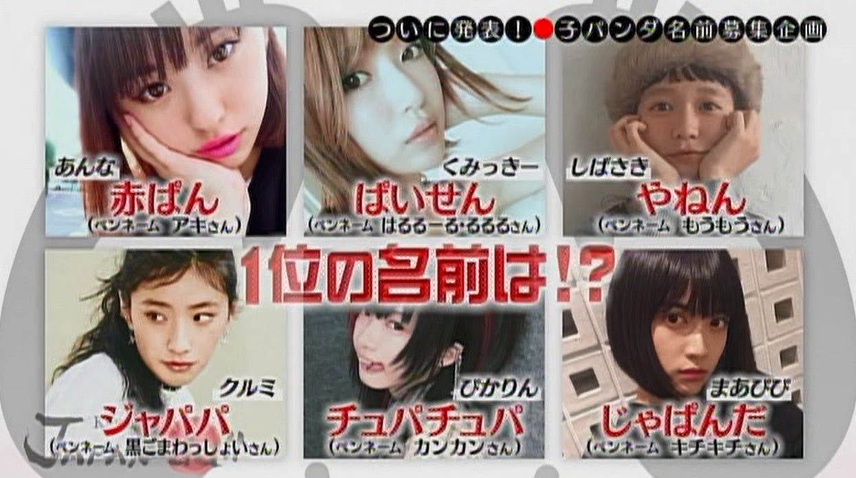 「子パンダ」の名前が決定（写真提供：MBS）