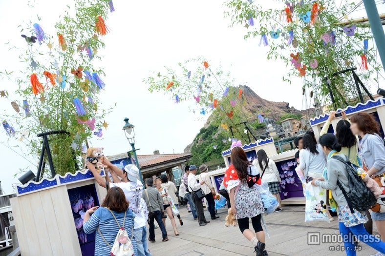 ウィッシングプレイス（TDS）