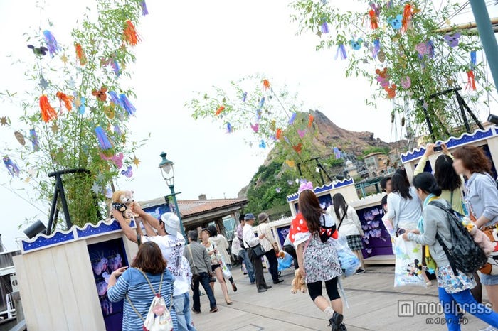 ウィッシングプレイス(TDS)