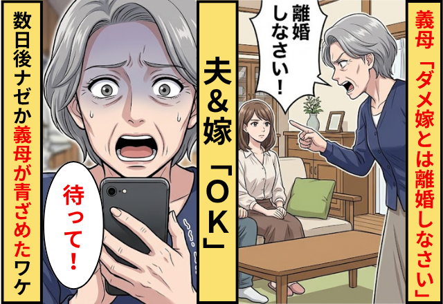 義母「ダメ嫁とは離婚しなさい」夫＆嫁「OK」⇒数日後”本格的に離婚の話”が進んだ結果ナゼか義母が青ざめた話