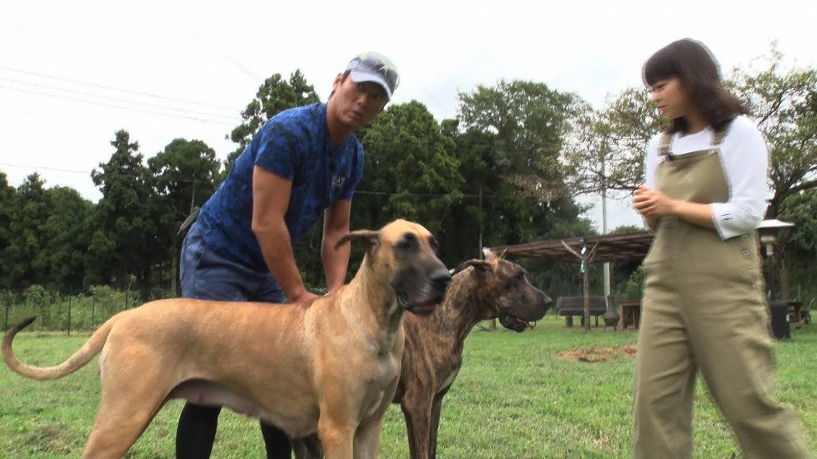 長嶋一茂、杉原千尋アナウンサー （C）フジテレビ
