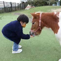 京急油壺温泉キャンプパーク/画像提供:京浜急行電鉄