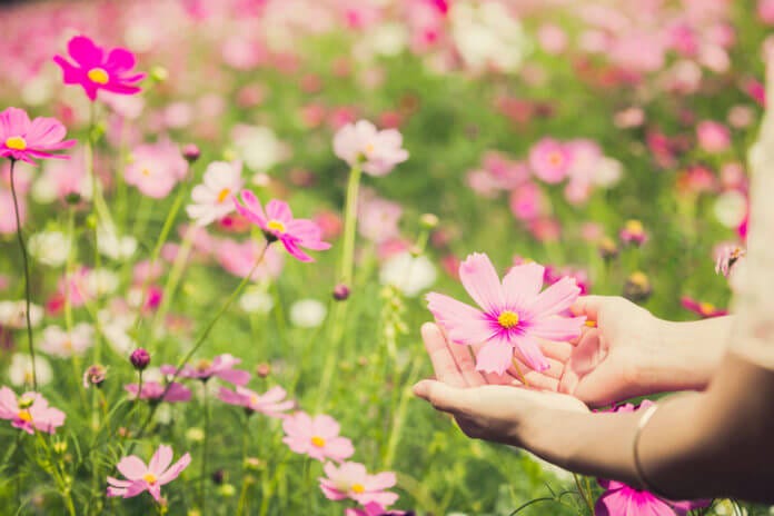 オンナはいつでも乙女！