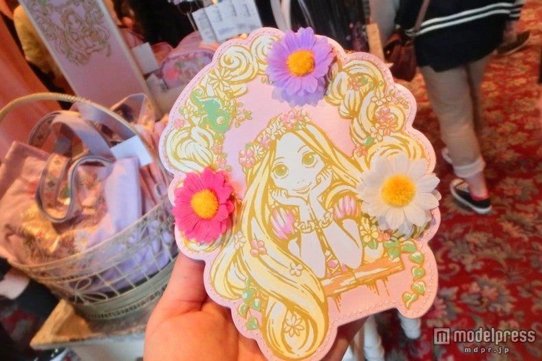 便利なパスケース