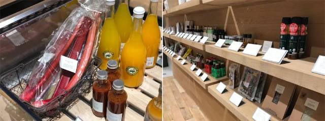 column_c65b2a0fa42246ef5edcd873b25a53d5.