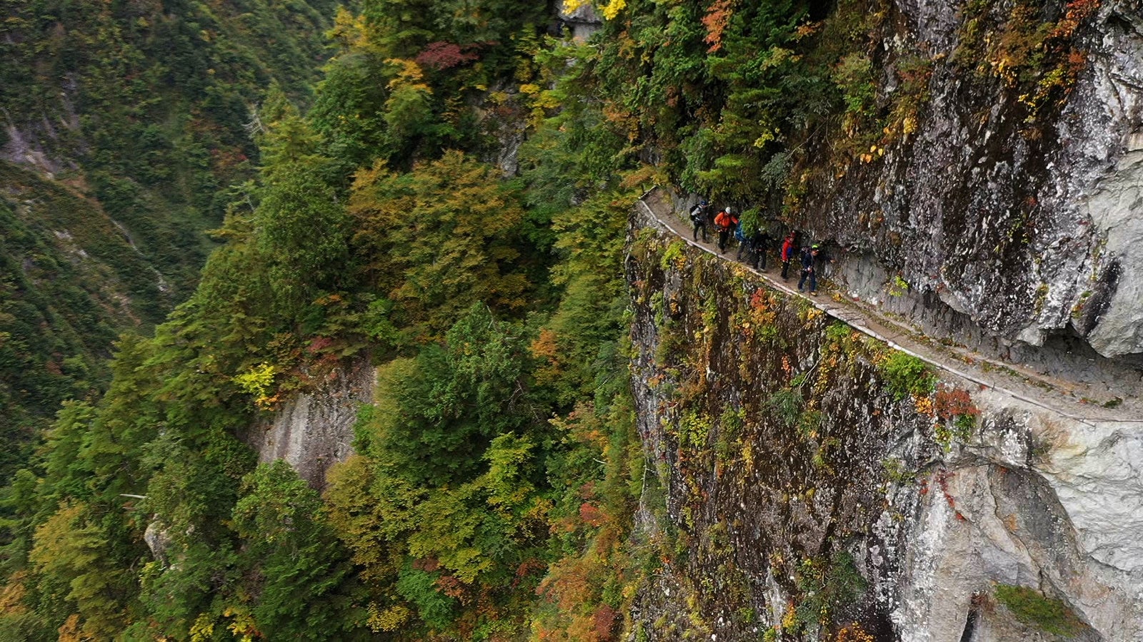 （C）日本テレビ