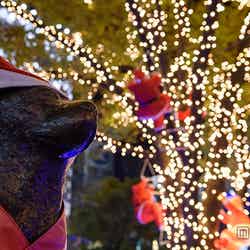 渋谷ハチ公前にサンタが大集合 Xmasイルミ3万球がライトアップ/画像提供:渋谷サンタフェスティバル実行委員会【モデルプレス】