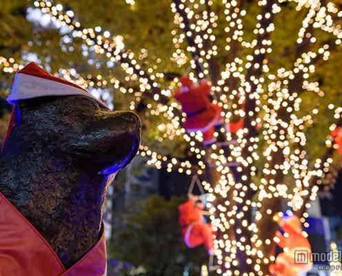 渋谷ハチ公前にサンタが大集合 Xmasイルミ3万球がライトアップ