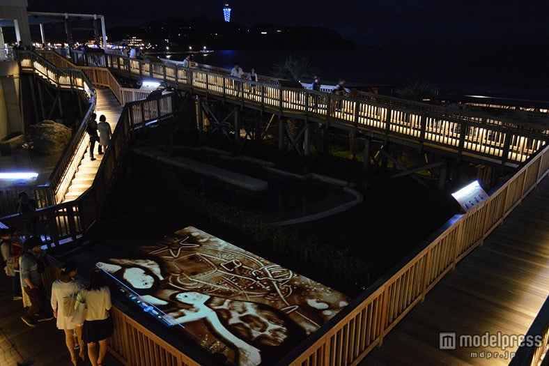 「ウミガメの夢」／画像提供：新江ノ島水族館