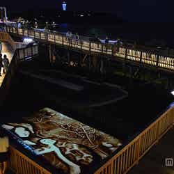 「ウミガメの夢」/画像提供:新江ノ島水族館