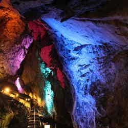 日原鍾乳洞(提供画像)