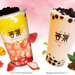 左から:マンゴー&イチゴタピオカミルク税込735円(新宿高島屋限定)、Answer Teaタピオカミルクティー税込519円/画像提供:高島屋