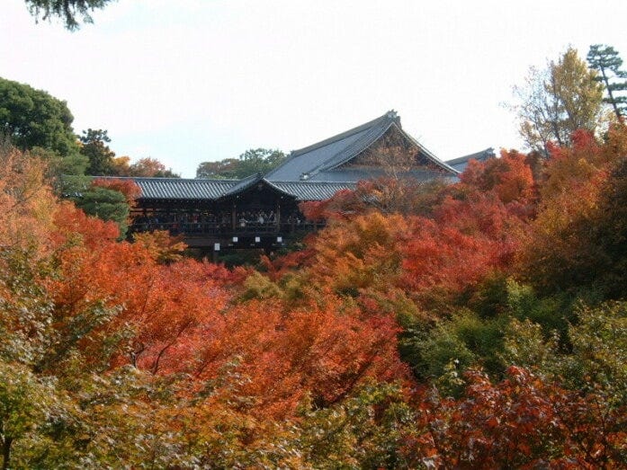 東福寺の紅葉（2005年11月20日撮影）