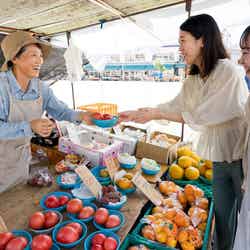 「ご近所アクティビティ」~酢がきいちゅう、日本一の日曜市ツアー~/OMO7高知 by 星野リゾート/提供画像