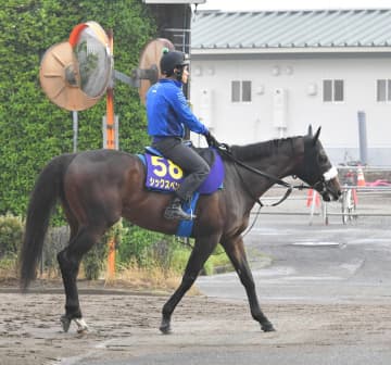 【フェブラリーS】シックスペンス 美浦坂路を軽快 雰囲気は良好 国枝翔助手「勝てて終われれば」有終V願う