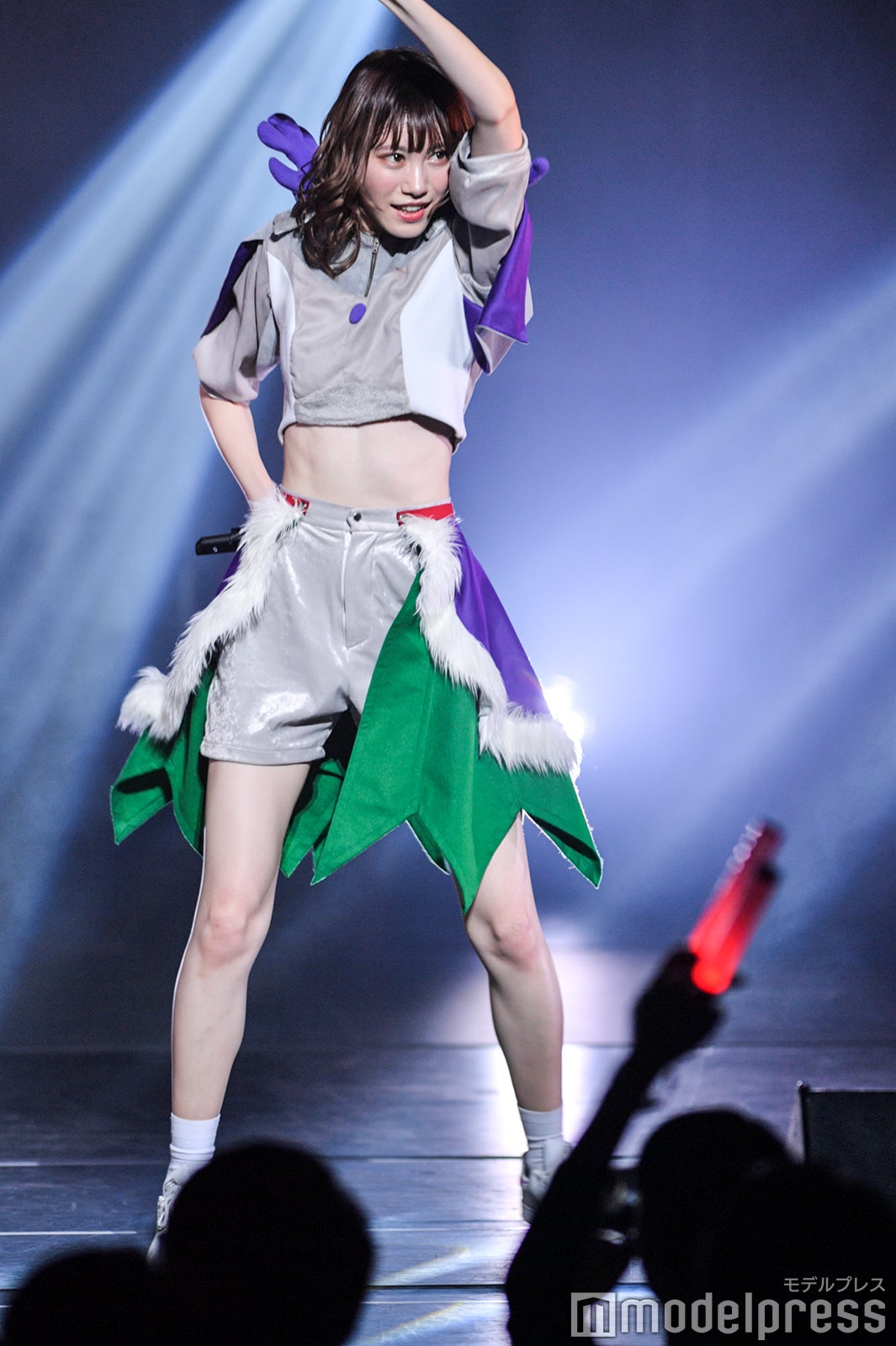 豆柴の大群（C）モデルプレス