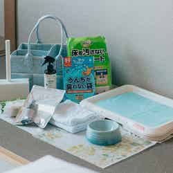 KAREN 浜名湖 with Dog/提供画像