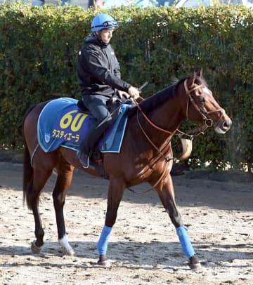 タスティエーラは松山とのコンビで有馬記念に臨む