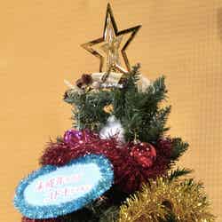 中島健人が装飾したクリスマスツリー（C）モデルプレス