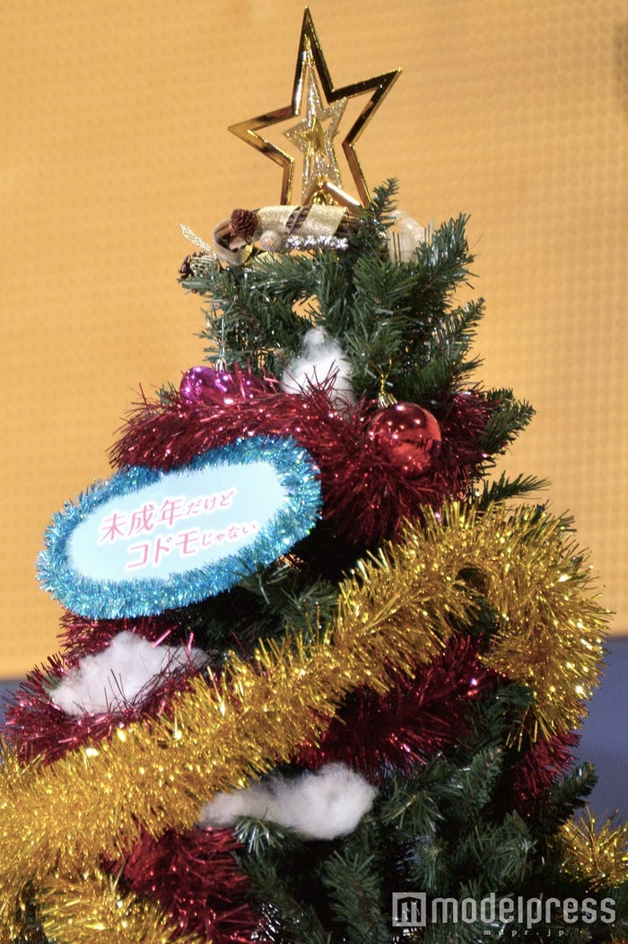 中島健人が装飾したクリスマスツリー(C)モデルプレス
