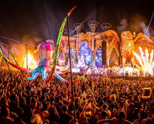 世界最大級のEDMフェス「EDC JAPAN」初開催の豪華出演アーティスト発表