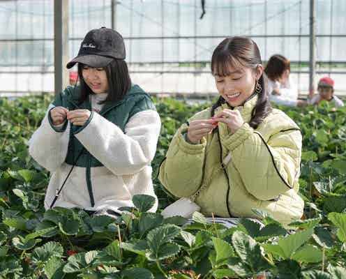 朝ドラ「おむすび」最終回、人気芸人のサプライズ登場に反響「地元の方きた」「急に出てきてびっくり」