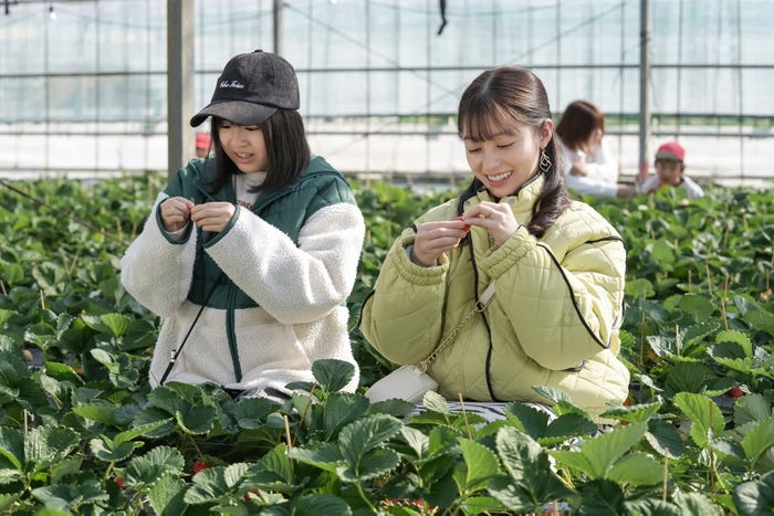 新津ちせ、橋本環奈「おむすび」第125話(C)NHK