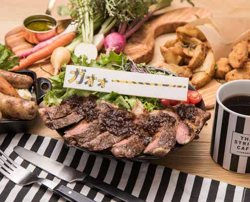 集え虎ガール!阪神タイガースファン必見の大阪「ザ・ストライプカフェ」って?店内もメニューも虎一色