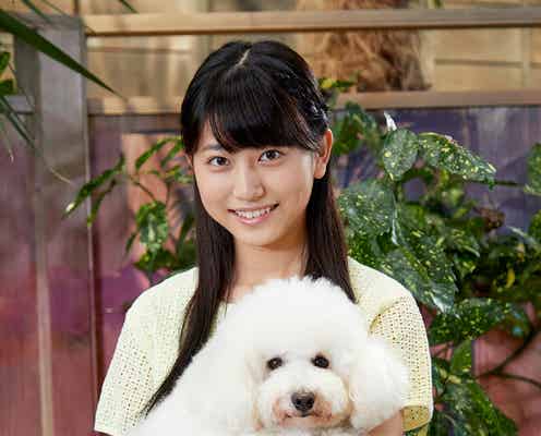 相葉雅紀と“ワケあり”関係な少女役 注目の女優・喜多乃愛が出演決定<僕とシッポと神楽坂>