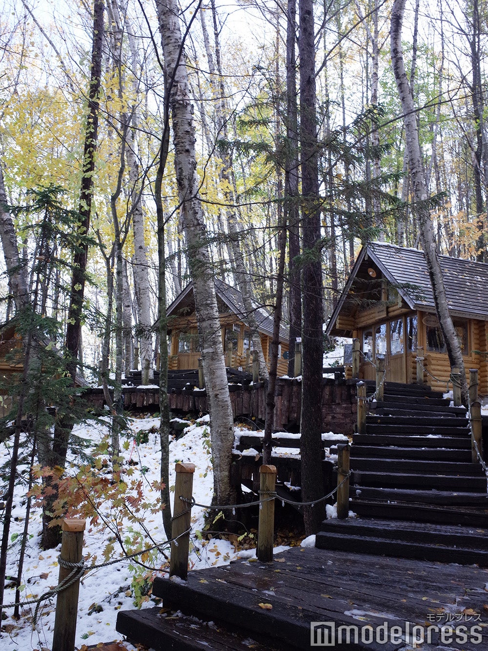 ニングルテラス（C）モデルプレス